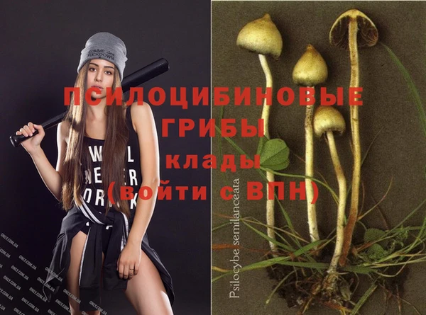 метадон Беломорск