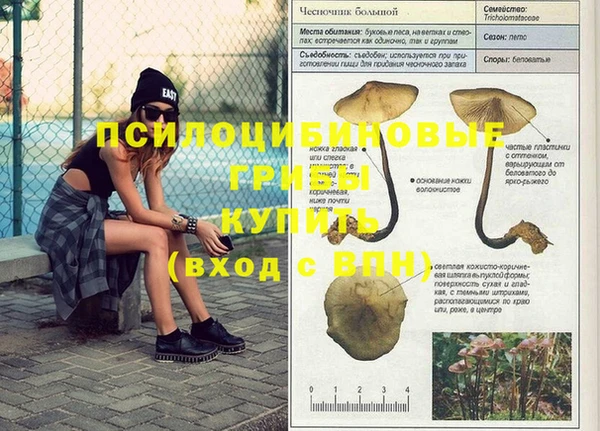 бошки Бугульма
